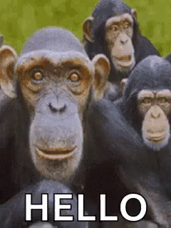 e45d97681d299053f614b21015b9635c.gif
