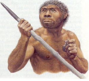 homo_erectus2.jpg